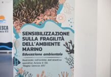 Il GAL Pesca Magna Graecia incontra gli studenti: educazione alimentare, cultura del mare e valorizzazione del pescato locale