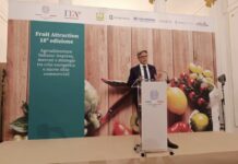 Italian Fruit Village a Fruit Attraction 2026: ventisei espositori e nuove opportunità per l’ortofrutta italiana Nella foto, Emilio Ferrara presidente del Consorzio Edamus.
